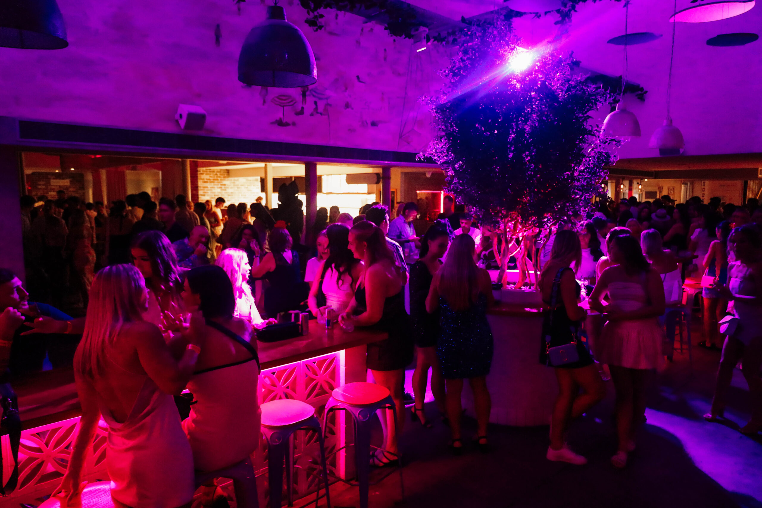 nye-tuesday-31st-december-2024-surfers-pavilion